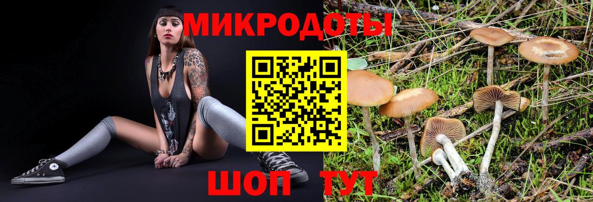 Галлюциногенные грибы MAGIC MUSHROOMS  Вход с VPN  Саров 